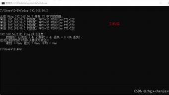 虚拟机ping通主机(虚拟机如何ping通主机)-百变无痕
