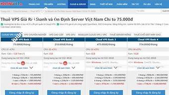 越南云服务器便宜(越南服务器怎么租)-百变无痕