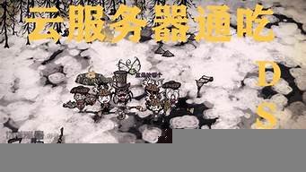 饥荒联机版云服务器(饥荒联机版云服务器多少钱)-百变无痕